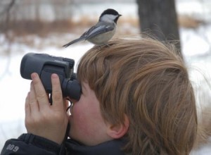 «Омоложение» человечества — Заслуги цивилизации? «Омоложение» человечества — Заслуги цивилизации?