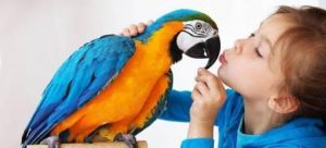 Нимфа Эхо и синдром попугая «эхолали́я»